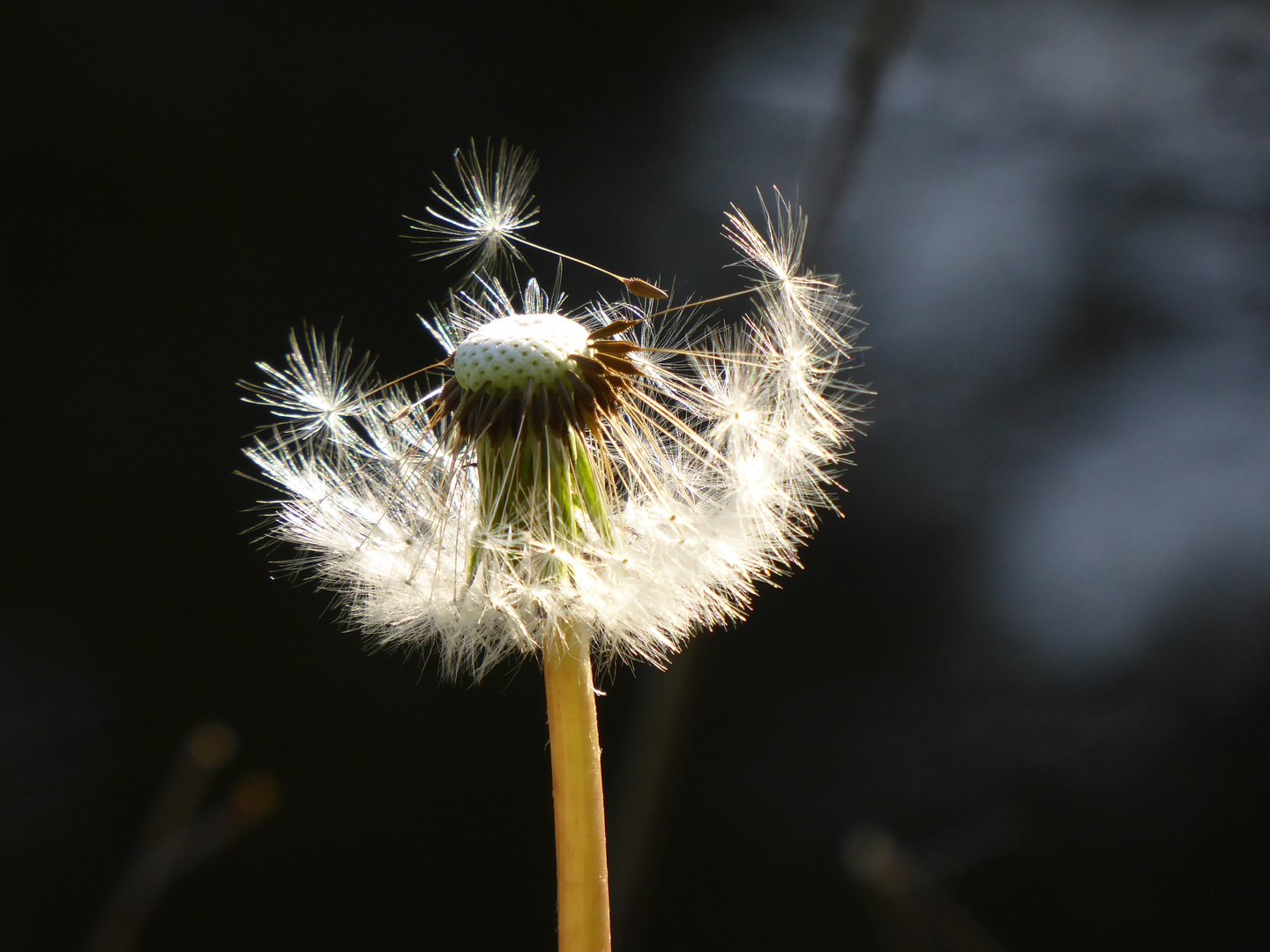 Abflugbereit