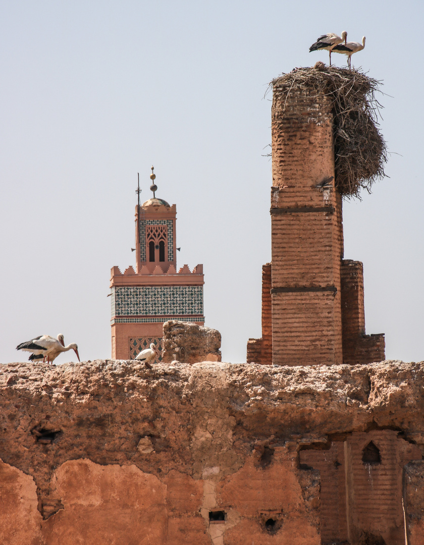 ABFLUGBEREIT Stoerche Marrakesch 