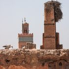 ABFLUGBEREIT Stoerche Marrakesch 