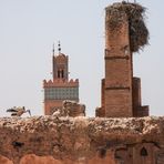 ABFLUGBEREIT Stoerche Marrakesch 