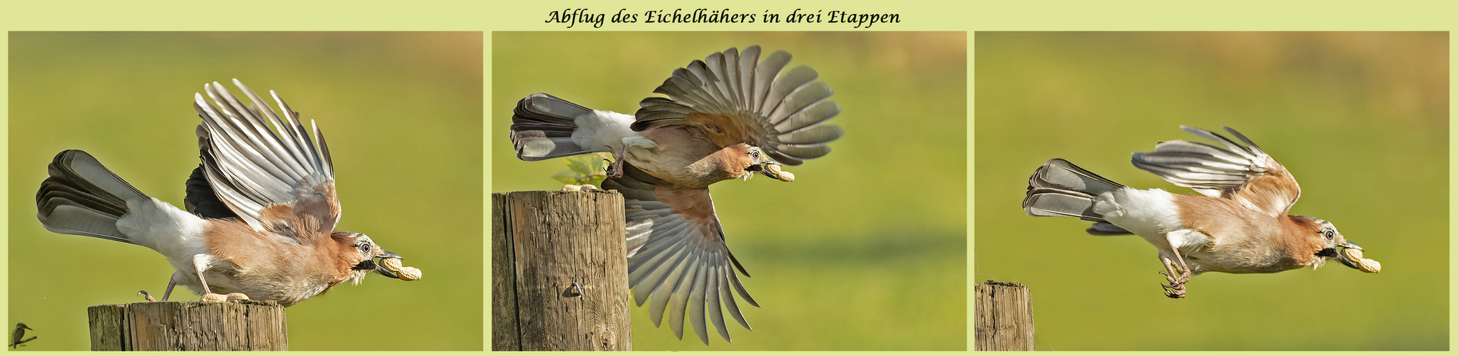 Abflugszenen in drei Etappen