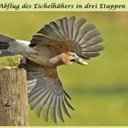 Abflugszenen in drei Etappen