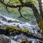 Abfluss des da drüber liegenden Nyastolfossen in Husedalen