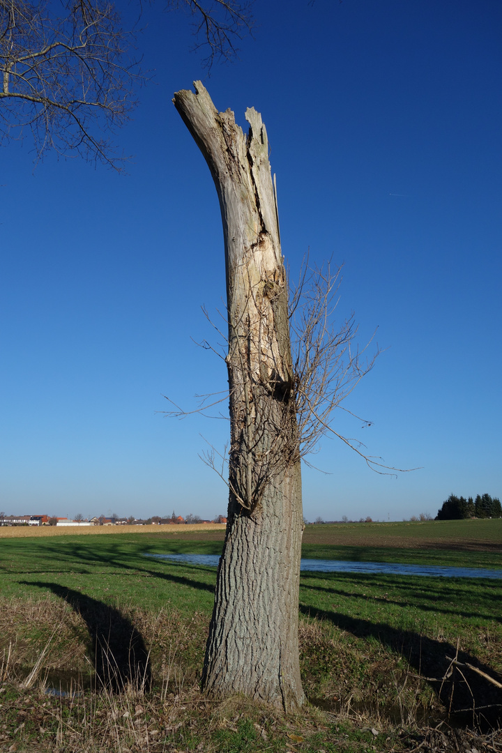 abgebrochener Riese