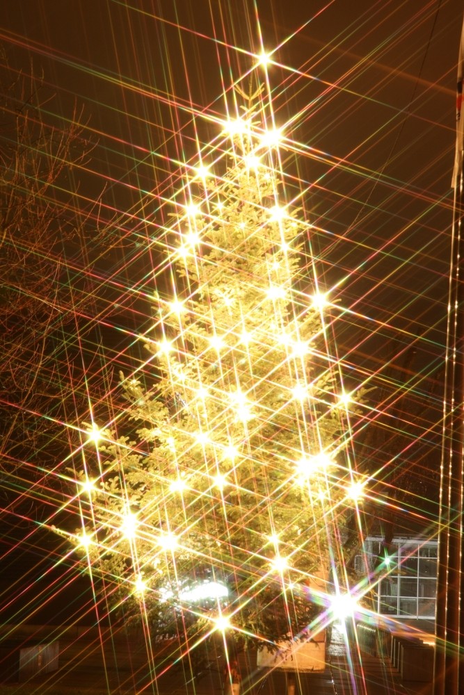 Abgedrehtes zur Weihnachtszeit