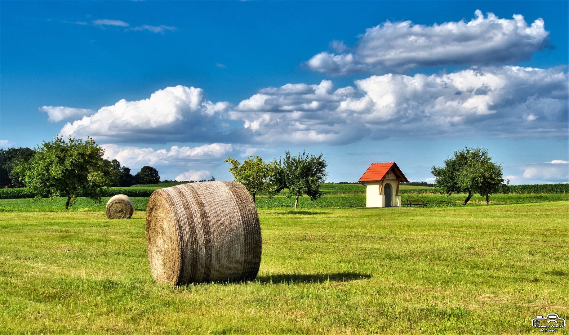 Abgedroschenes Feld mit Strohballen