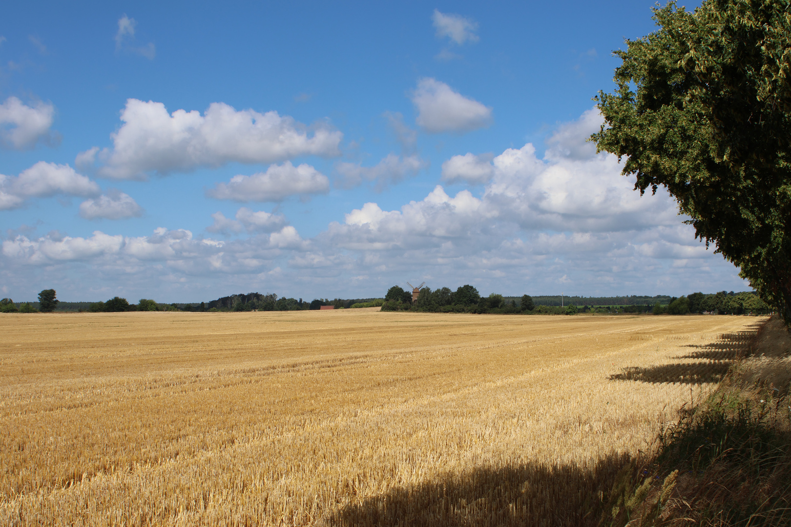 abgeerntet Foto & Bild landschaft, himmel, Äcker, felder & wiesen