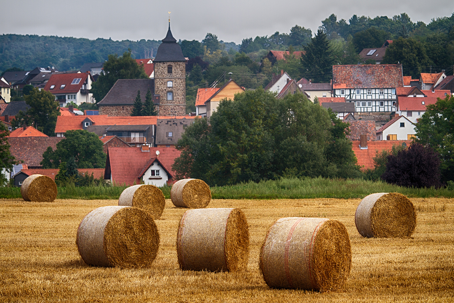 Abgeerntet