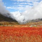 Abgeerntete Reisfelder in Nepal