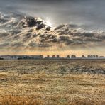 Abgeerntetes Feld bei Eggersdorf