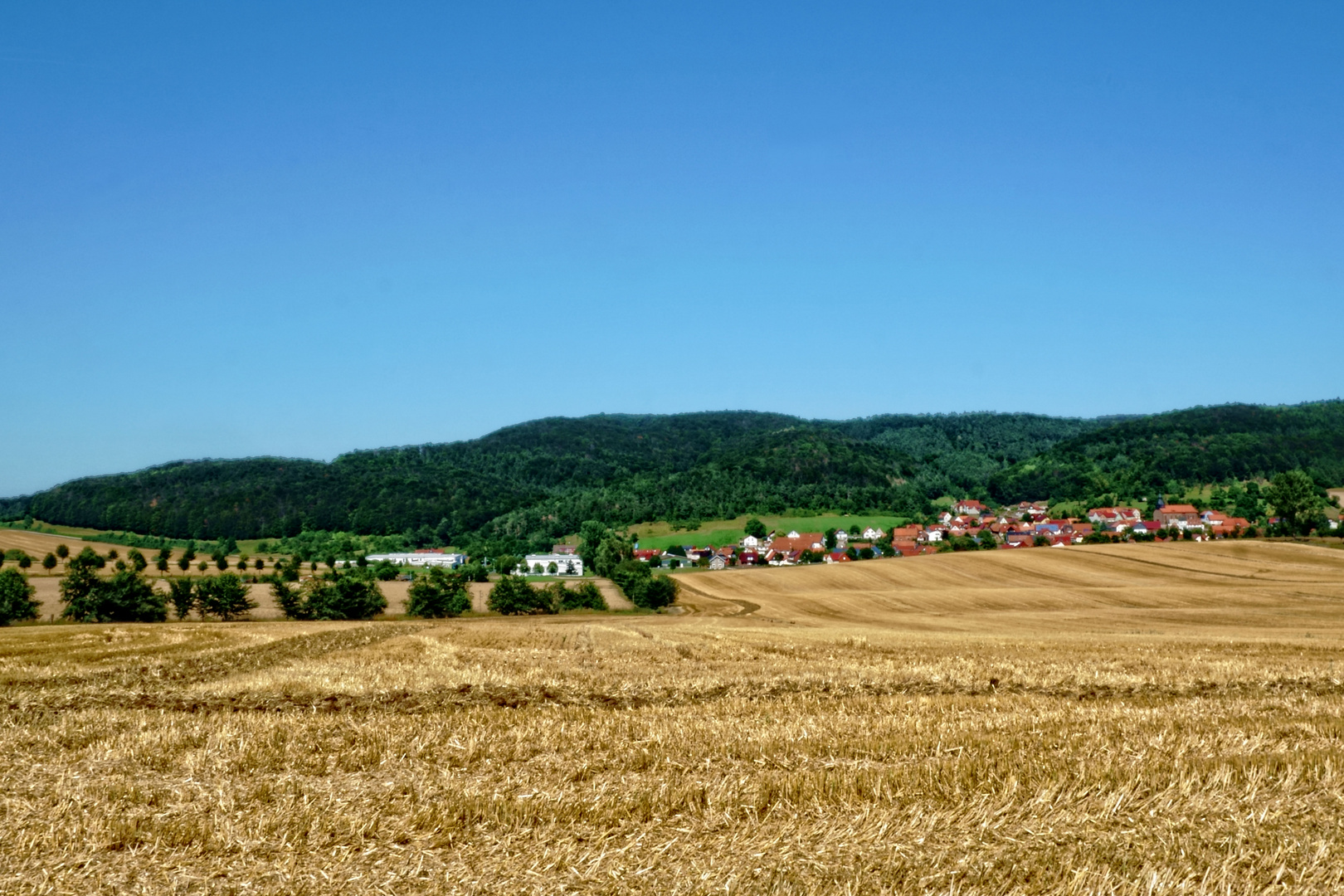 Abgeerntetes Feld nahe dem Eichsfeldorf Gerbershausen