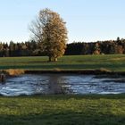 Abgefischt :  Blickrichtung Schneeberg Fichtelgebirge