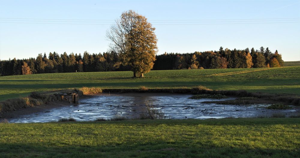 Abgefischt :  Blickrichtung Schneeberg Fichtelgebirge