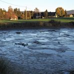 Abgefischt  : Blickrichtung Waldstein Fichtelgebirge