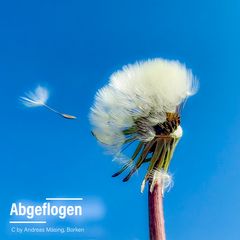 Abgeflogen