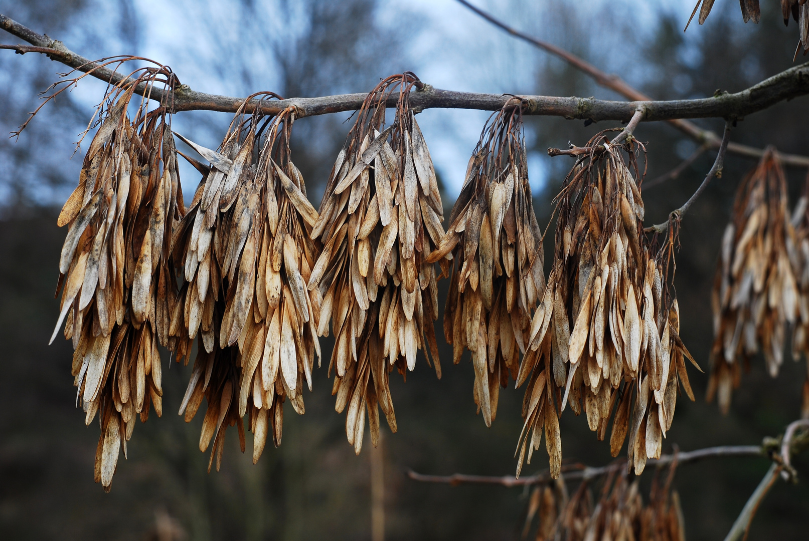 Abgehangen