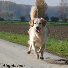 Abgehoben