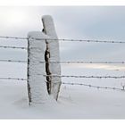 abgekühlte Beziehung