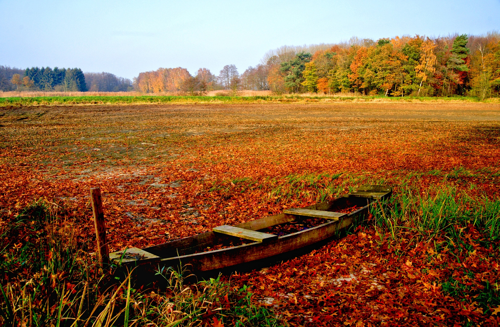 Abgelassener Fischteich.im Herbst.,...