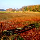 Abgelassener Fischteich.im Herbst.,...