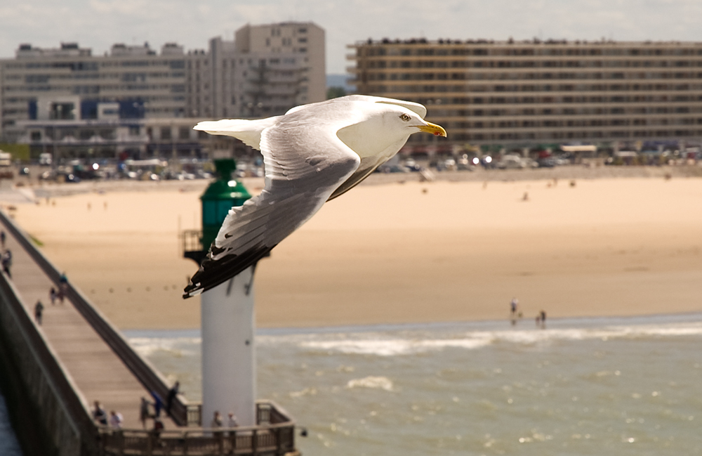 Abgelegt vom Hafen Calais