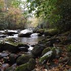 Abgelener Bachlauf in den Smoky Mountains