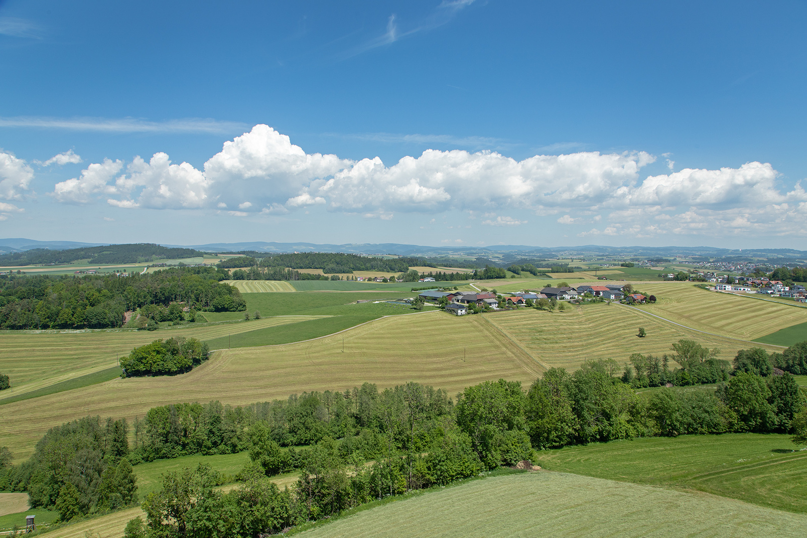 abgemähte Wiesen