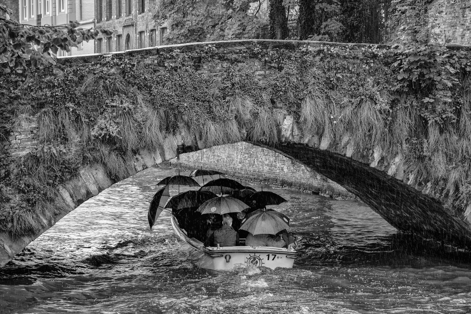 abgeschirmt... Foto & Bild | sw, regen, fluss Bilder auf fotocommunity