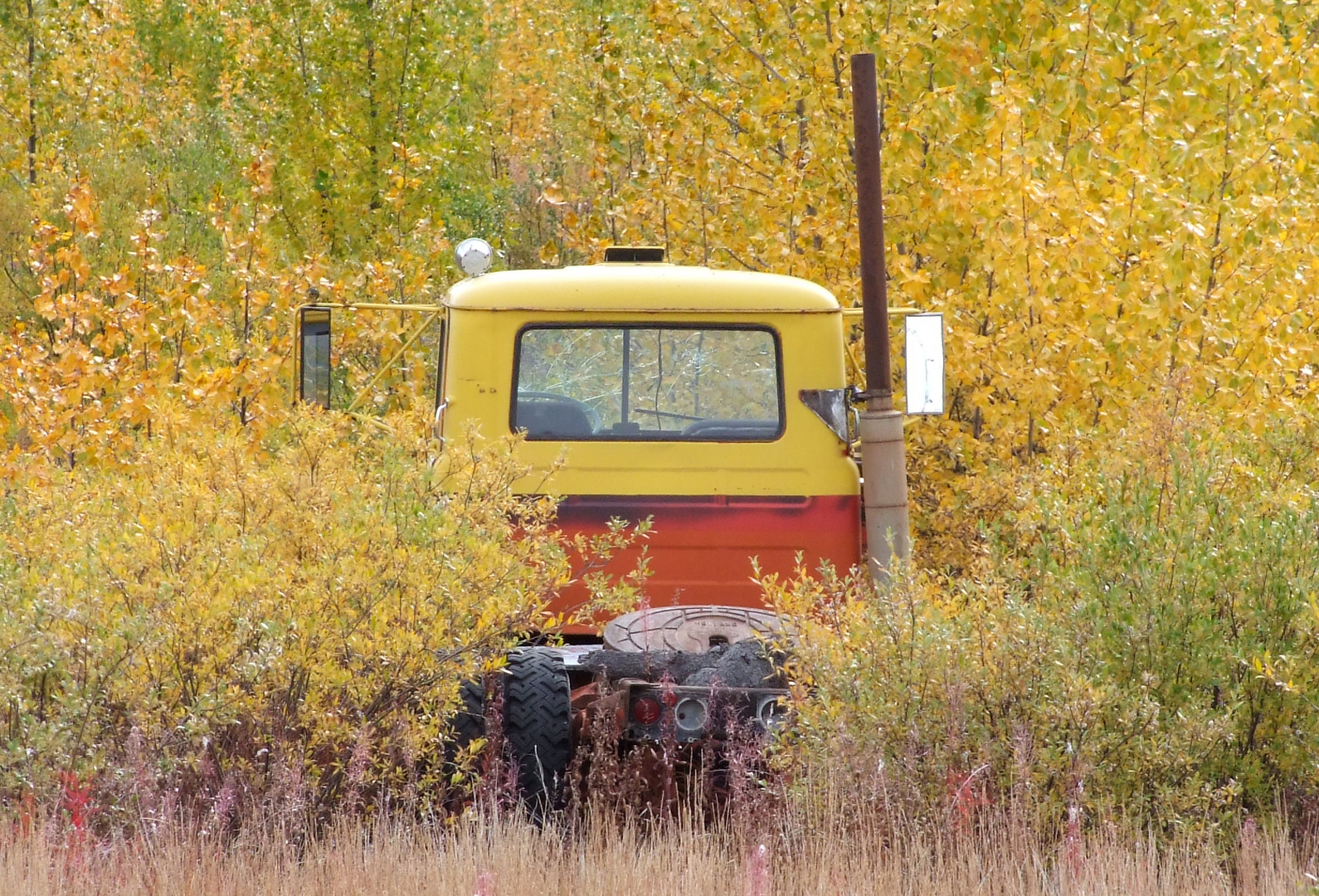 abgeschoben...Perfekte Herbsttarnung