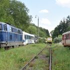 Abgestellte Fahrzeuge der bankrotten Staudenbahn im Bf Markt Wald 19.7.2021
