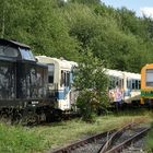 Abgestellte Fahrzeuge der bankrotten Staudenbahn im ehemaligen Bf Markt Wald 19.7.2023