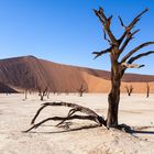 Abgestorben, Namibia