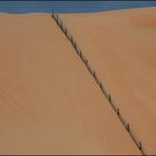 "Abgrenzung"  Liwa Wüste Abu Dhabi  VAE