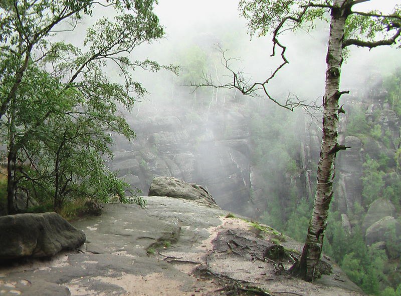 Abgrund im Nebel