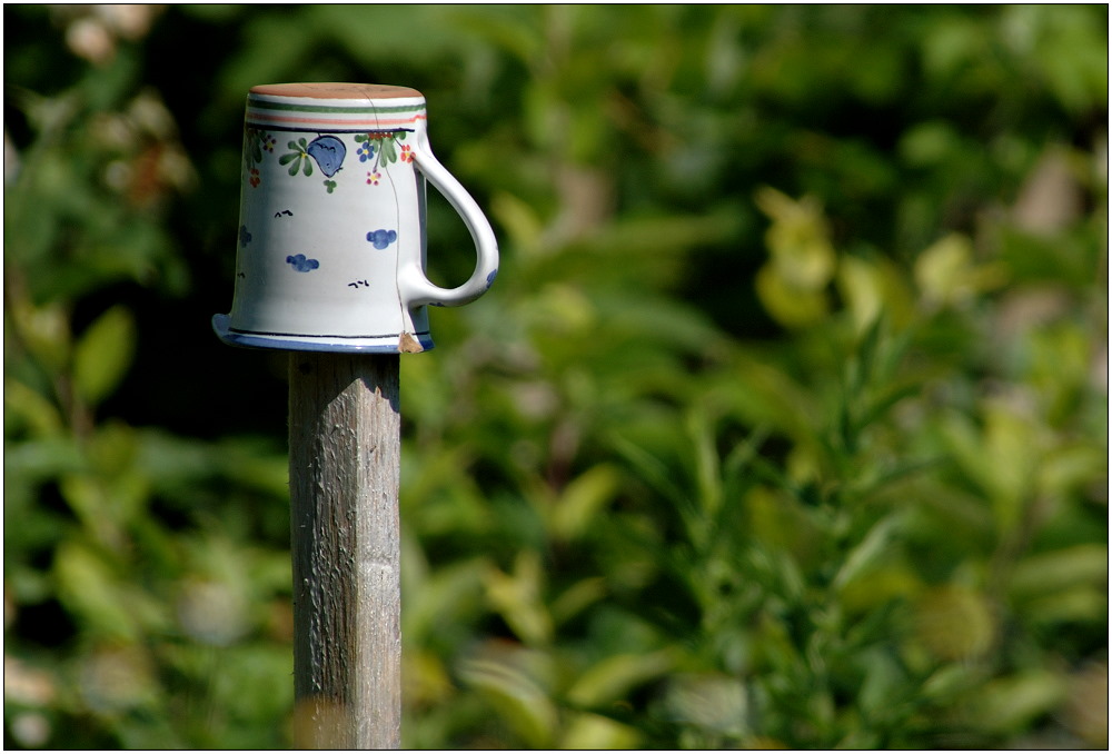 ... abhängen im Garten ...