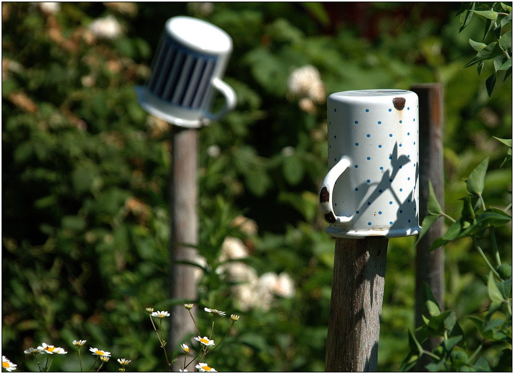 ... abhängen im Garten ....