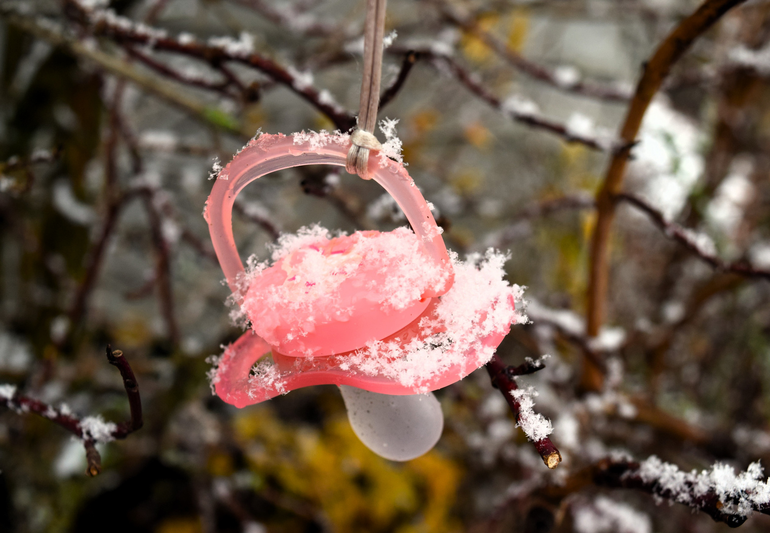 Abhängen im Schnee