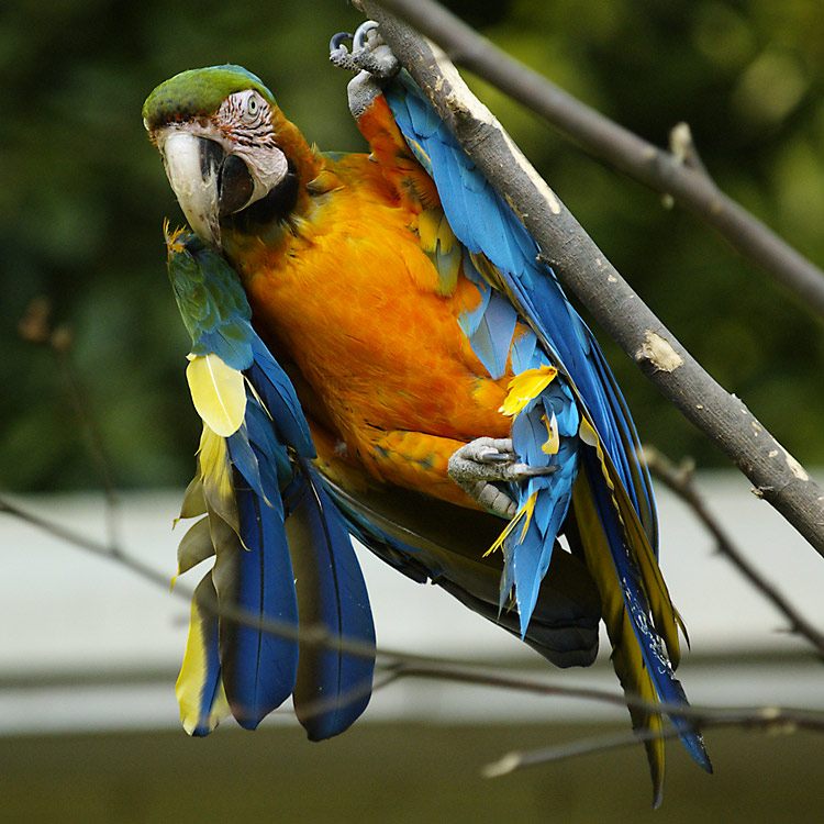 Abhängen im Wuppertaler Zoo