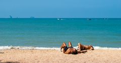 Abhängen in Ao Nang