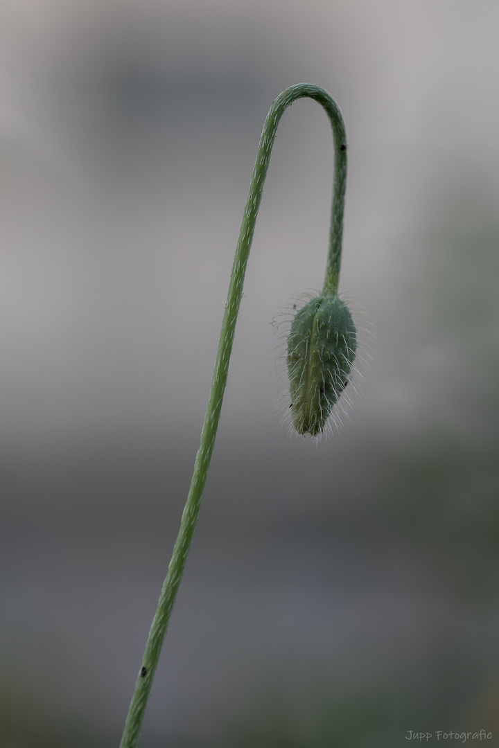 Abhängen - in Farbe