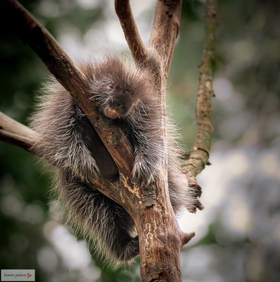 Abhängen ...iss Wochenende