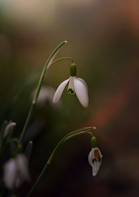 abhängen und das wenige licht genießen ...