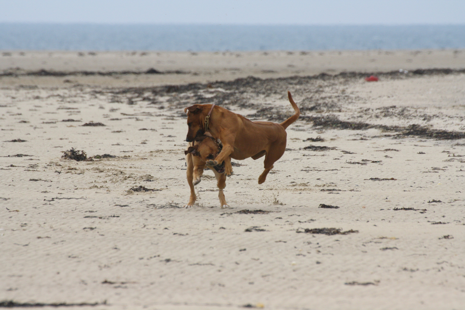 abheben am Strand