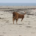 abheben am Strand