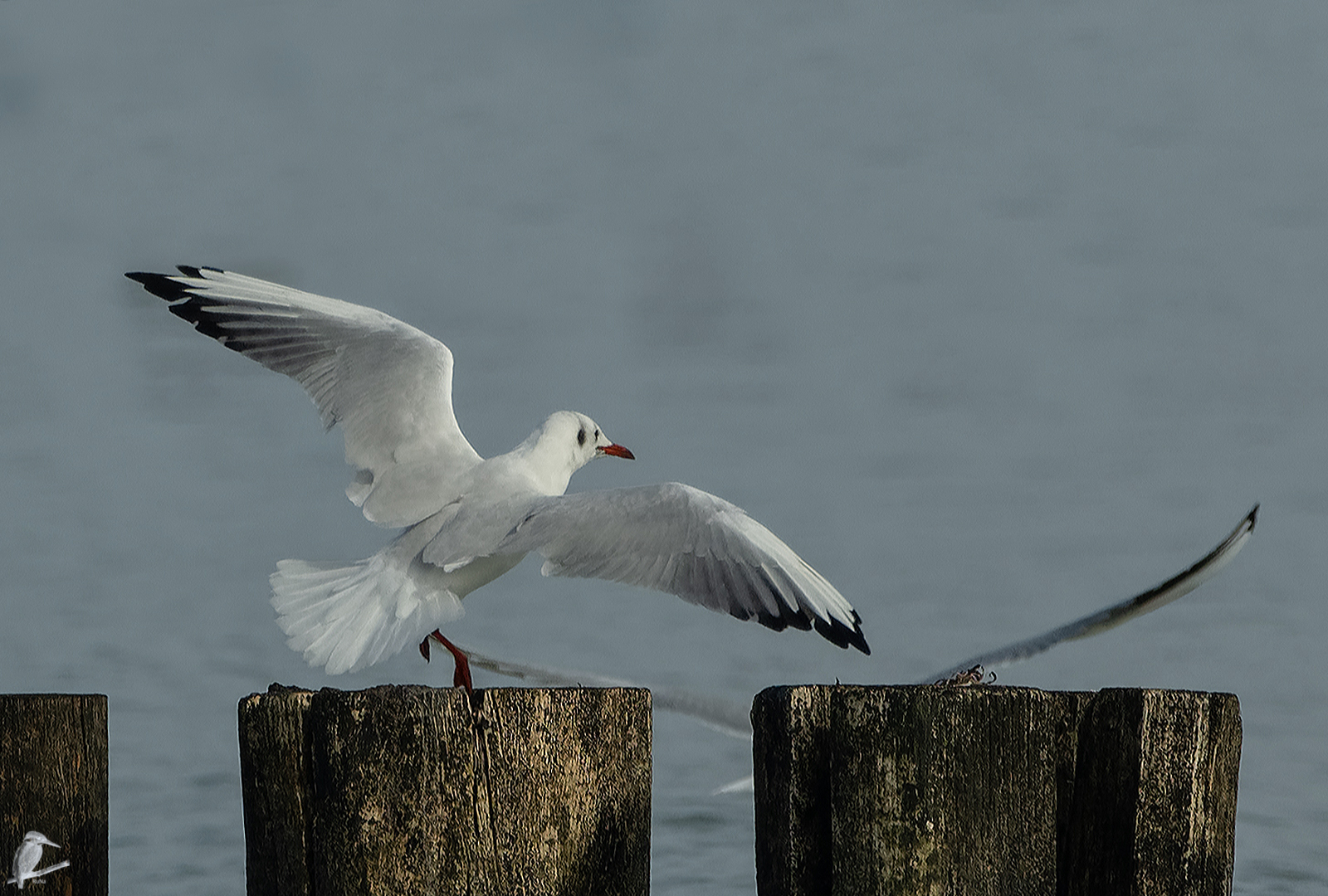 Abheben zum Flug ...