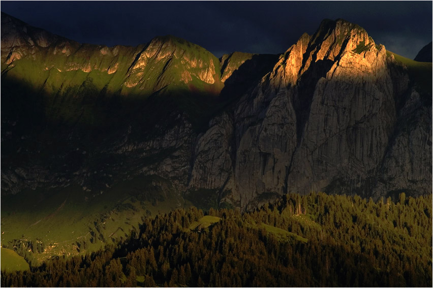 Abholzung im Abendlicht