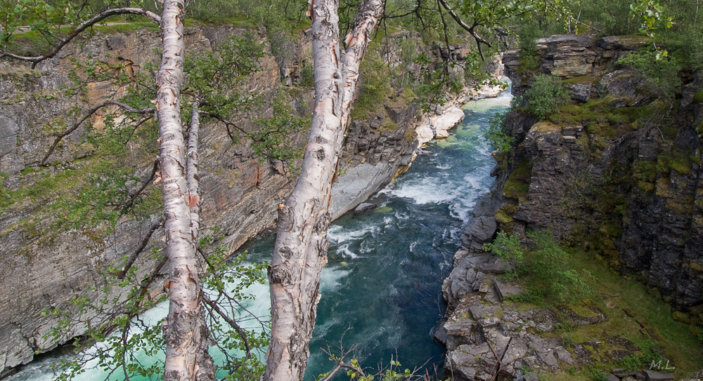 Abisko Canyon