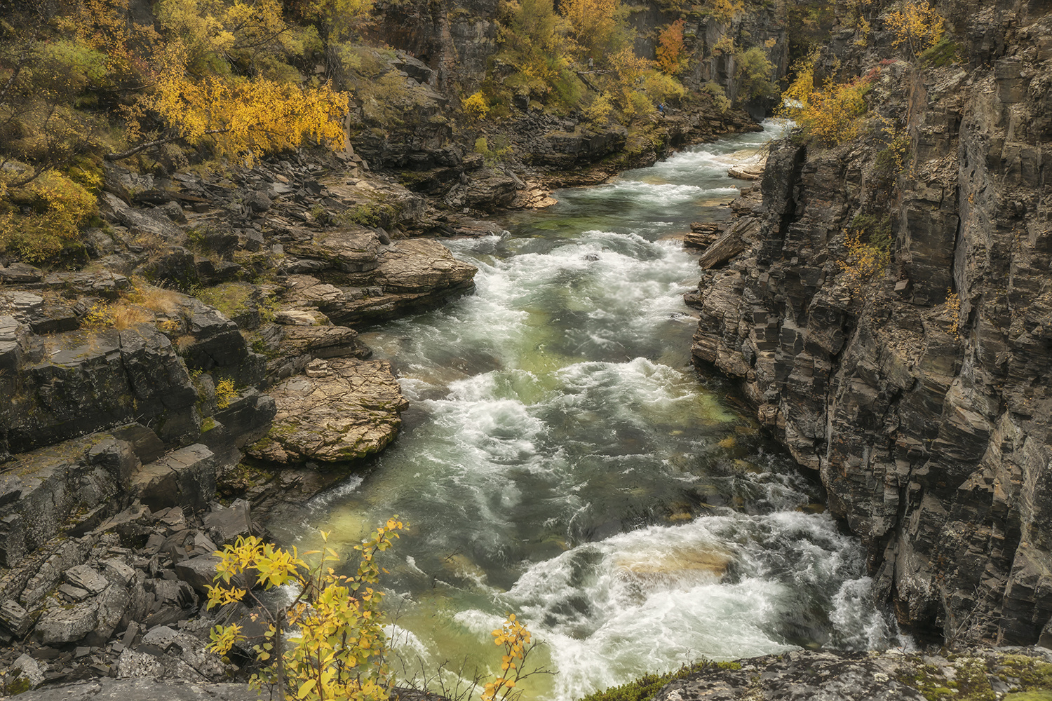 Abisko Canyon