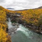 Abisko Nationalpark-62440