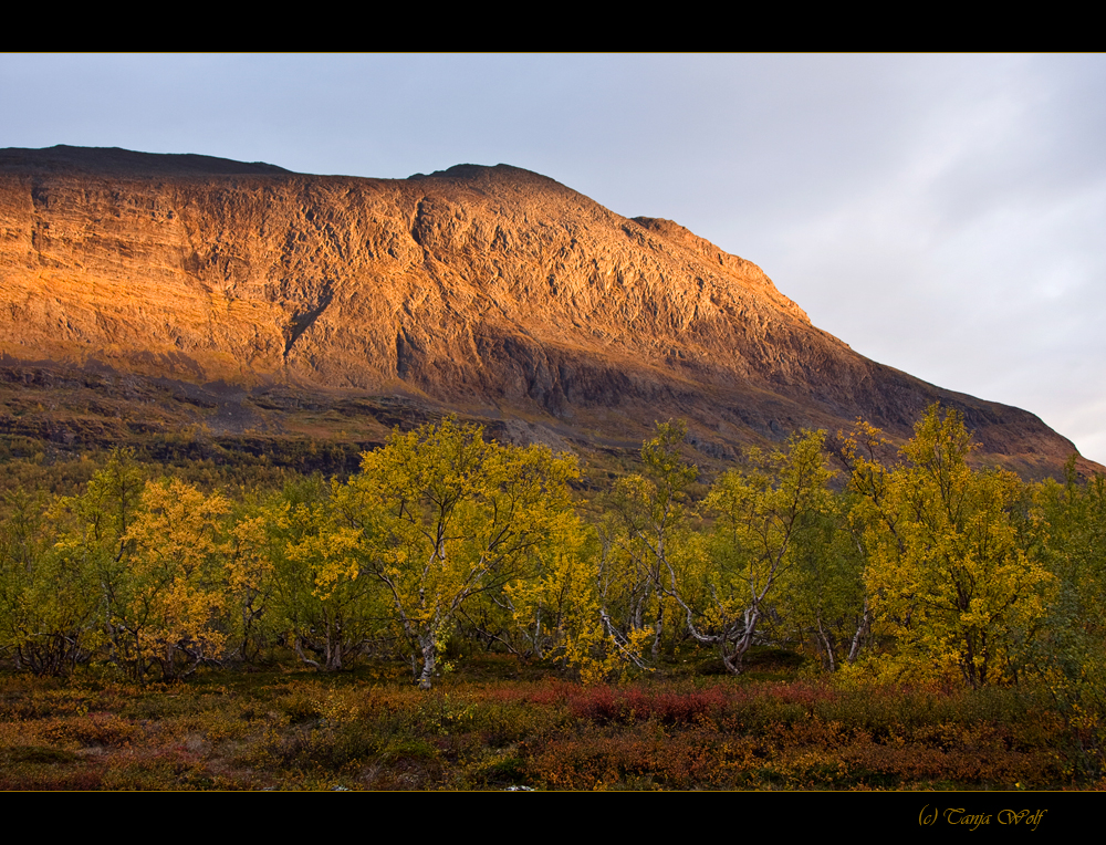 Abisko Nationalpark